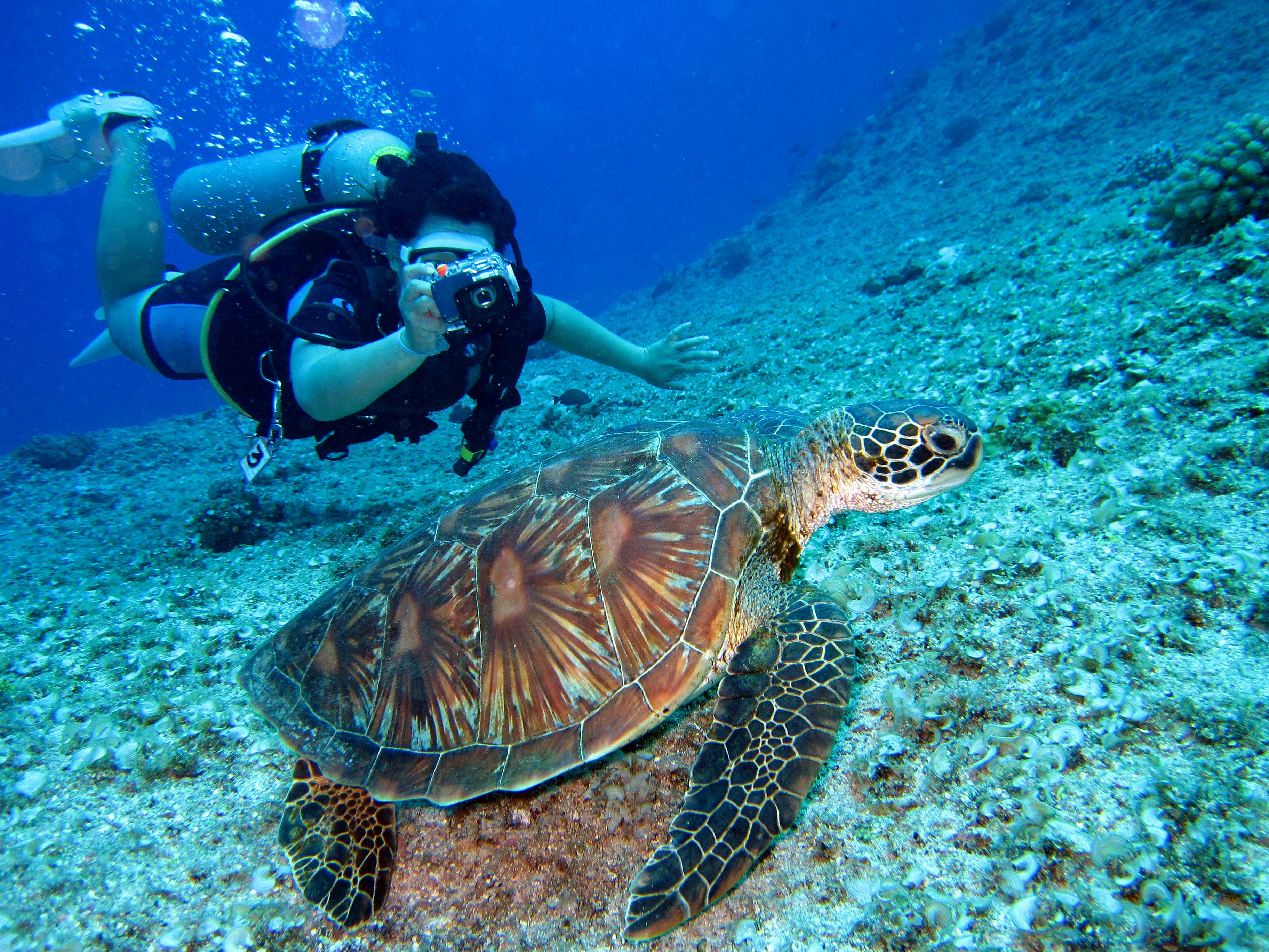 Deep Dive into Adventure: The Thrills and Wonders of Scuba Diving